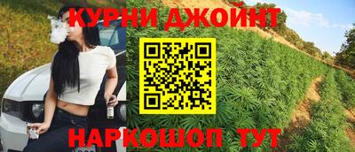 дживик Гай