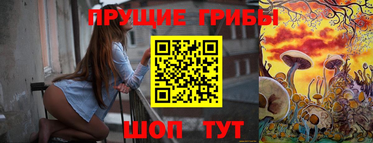 Псилоцибиновые грибы GOLDEN TEACHER Миасс