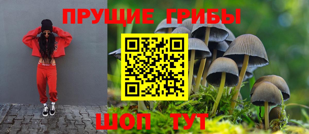 Миасс  Галлюциногенные грибы мухоморы  Вход с VPN 